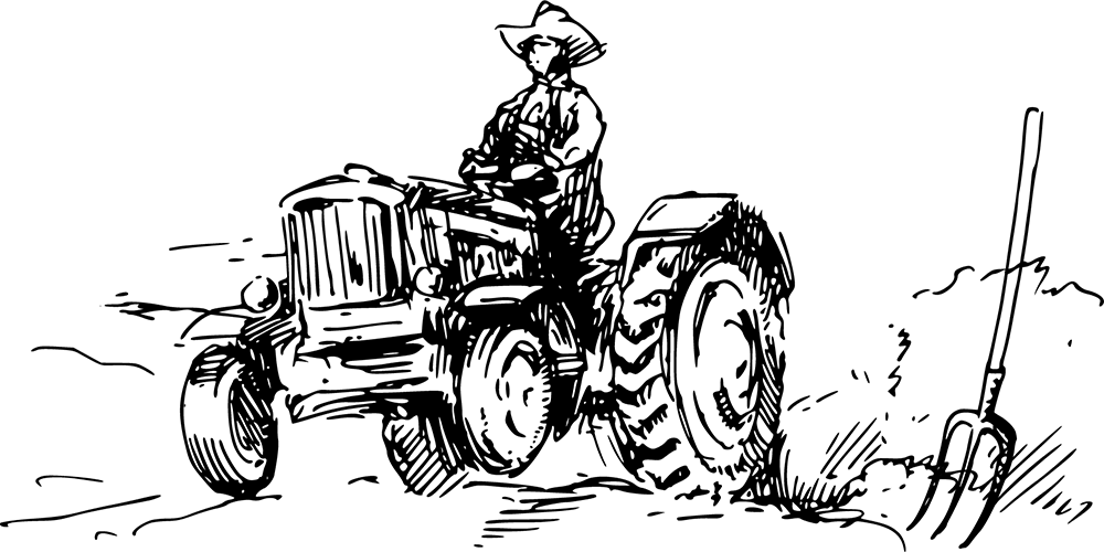 anandorganic.com