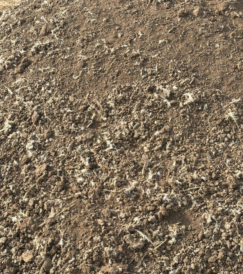 anandorganic
