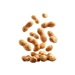 anandorganic